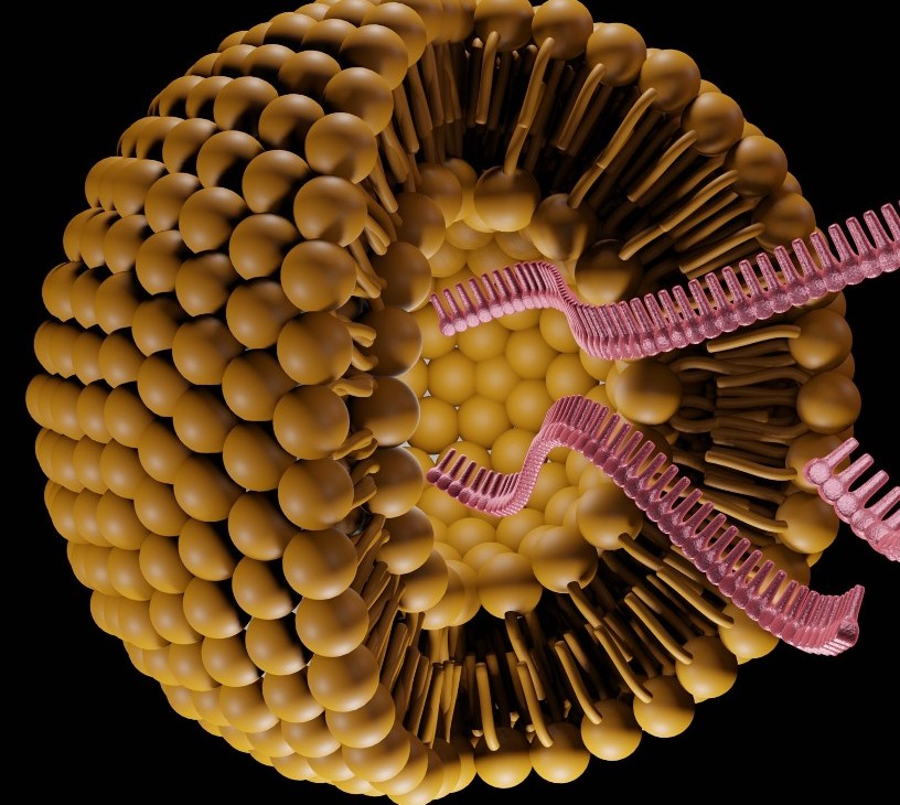 Microrna (mirna) Market Analysis, Size, and Forecast 2026-2030: North America (US, Canada, and Mexico), Europe (Germany, UK, and France), APAC (China, Japan, and India), South America (Brazil), Middle East and Africa (UAE, Saudi Arabia, and South Africa), Asia, Rest of World (ROW)