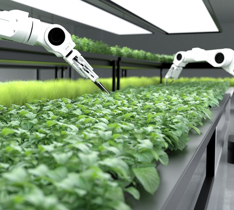 Smart Greenhouse Market Analysis, Size, and Forecast 2026-2030: APAC (China, India, and Japan), Europe (Germany, France, and UK), North America (US, Canada, and Mexico), South America (Brazil and Argentina), Middle East and Africa (Saudi Arabia, UAE, and South Africa), and Rest of World (ROW)