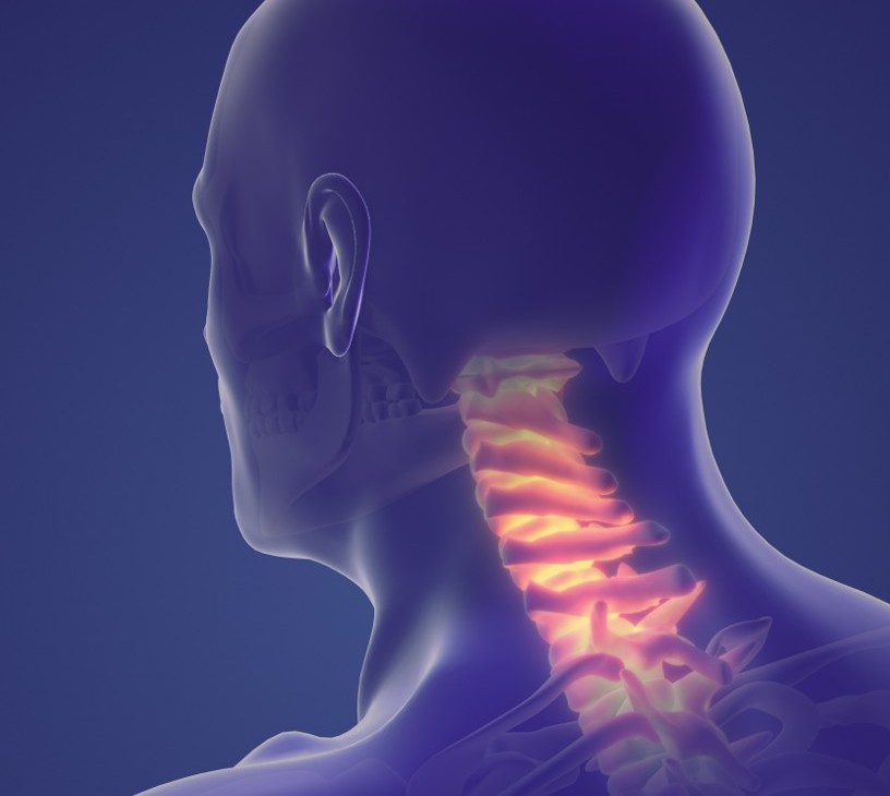 Spinal Trauma Devices Market Analysis, Size, and Forecast 2026-2030: North America (US, Canada, and Mexico), Europe (Germany, UK, and France), APAC (China, Japan, and India), South America (Brazil, Argentina, and Colombia), Middle East and Africa (UAE, Saudi Arabia, and South Africa), Asia, Rest of World (ROW)
