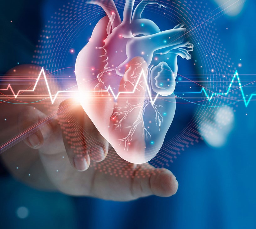 Cardiovascular Information System (CVIS) Market: Segmentation by Geography