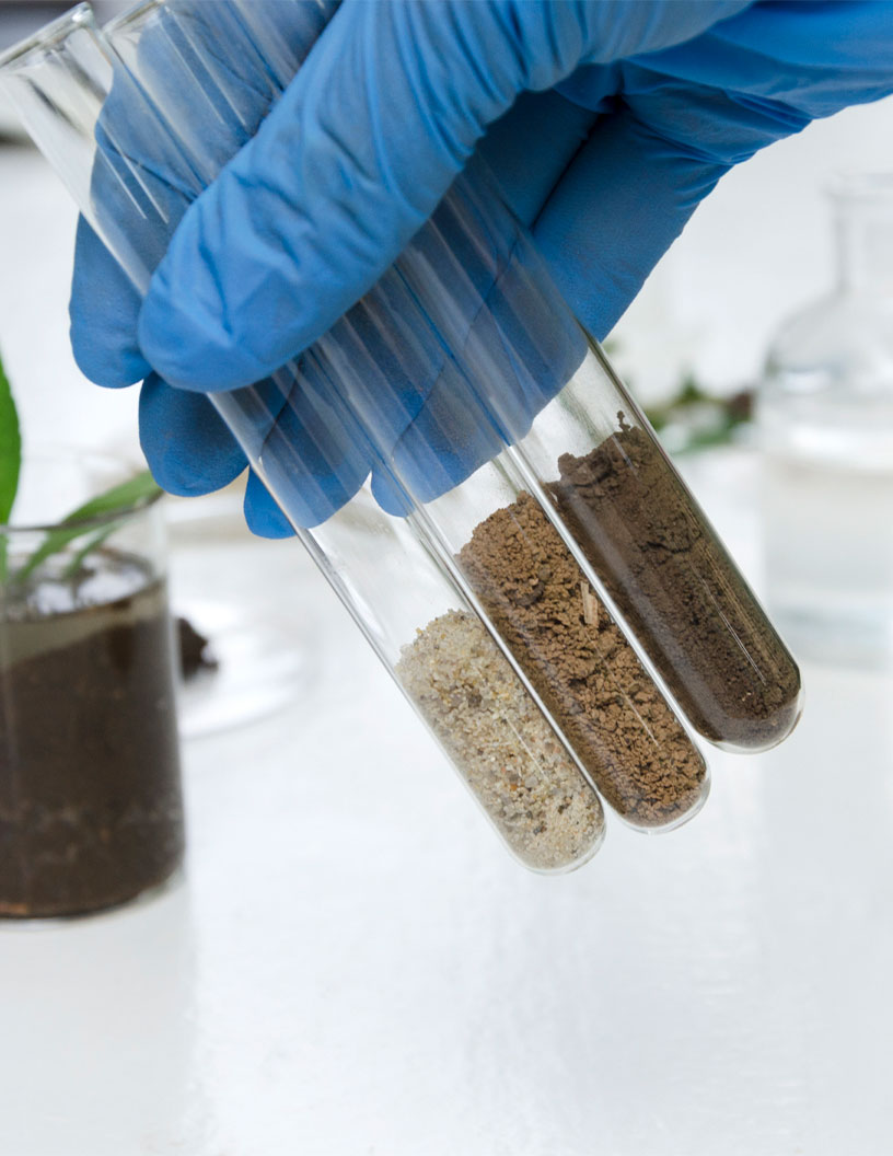 Soil Testing Equipment Market Analysis, Size, and Forecast 2025-2029: North America (US, Canada, and Mexico), Europe (Germany, UK, and France), APAC (China, India, and Japan), South America (Brazil, Argentina, and Colombia), Middle East and Africa (Saudi Arabia, UAE, and South Africa), and Rest of World (ROW)