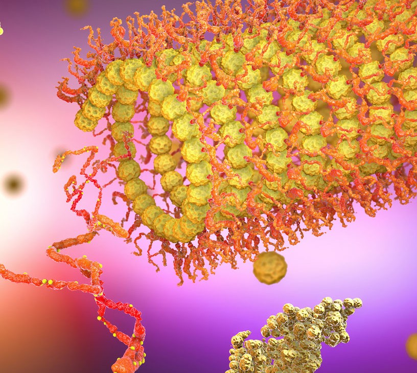 Protein Engineering Market Analysis, Size, and Forecast 2026-2030: North America (US, Canada, and Mexico), Europe (Germany, France, and UK), APAC (China, Japan, and India), South America (Brazil, Argentina, and Colombia), Middle East and Africa (Saudi Arabia, UAE, and Turkey), Asia, Rest of World (ROW)