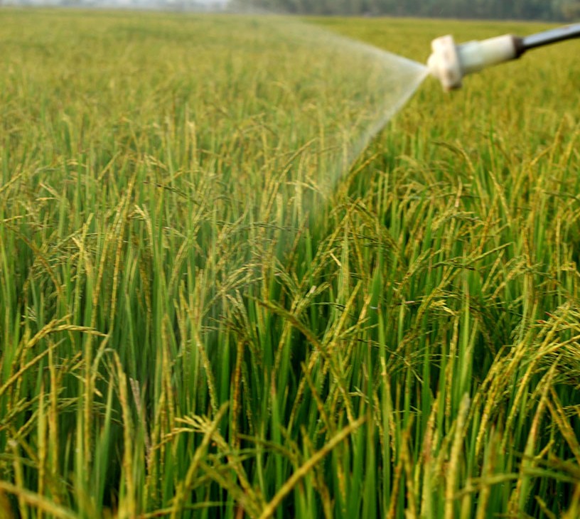 Latin America Crop Protection Chemicals Market Analysis, Size, and Forecast 2026-2030: South America (Brazil and Argentina), Latin America