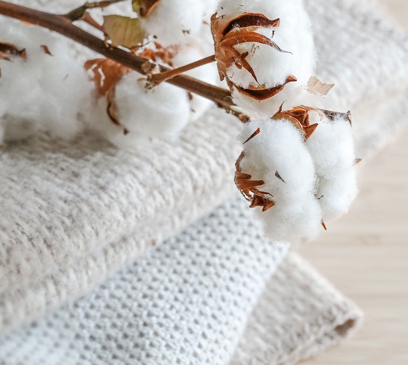 Sustainable Fabrics Market Analysis, Size, and Forecast 2026-2030: APAC (China, India, and Japan), Europe (Germany, France, and Italy), North America (US, Canada, and Mexico), South America (Brazil and Argentina), Middle East and Africa (Saudi Arabia, UAE, and South Africa), and Rest of World (ROW)