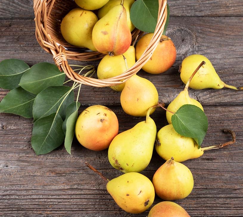 Pear Market Analysis, Size, and Forecast 2026-2030: APAC (China, Japan, and India), Europe (Germany, UK, and France), North America (US, Canada, and Mexico), Middle East and Africa (Saudi Arabia, UAE, and South Africa), South America (Brazil, Argentina, and Colombia), and Rest of World (ROW)