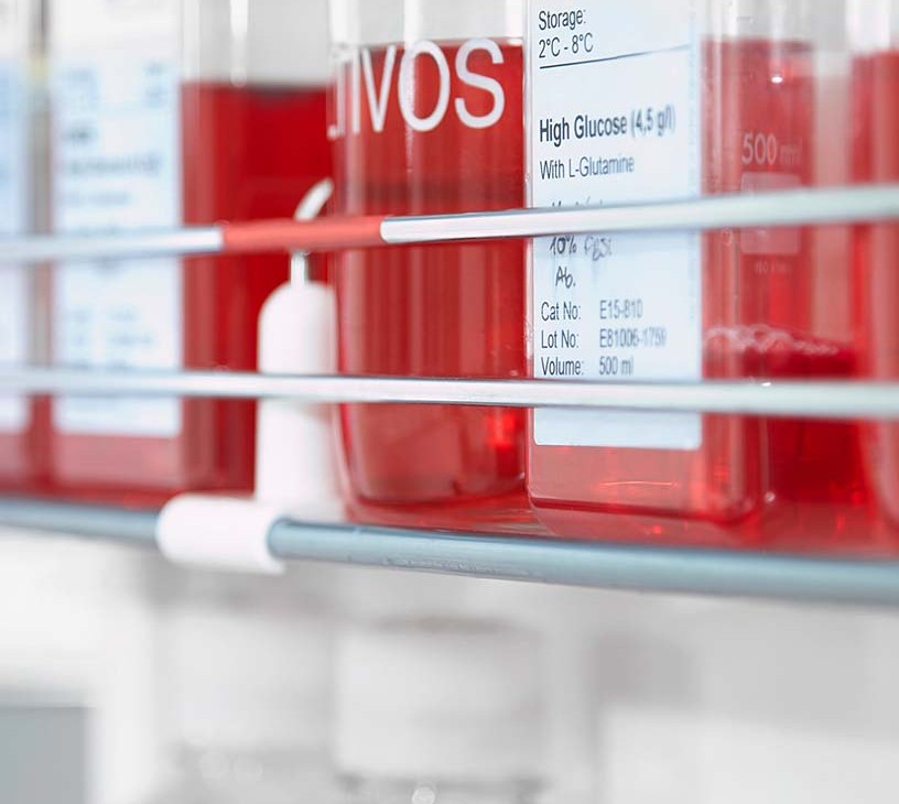 Blood Bank Refrigerators Market Analysis, Size, and Forecast 2026-2030: North America (US, Canada, and Mexico), Europe (Germany, UK, and France), APAC (China, Japan, and India), South America (Brazil, Argentina, and Colombia), Middle East and Africa (South Africa, Saudi Arabia, and UAE), Asia, Rest of World (ROW)