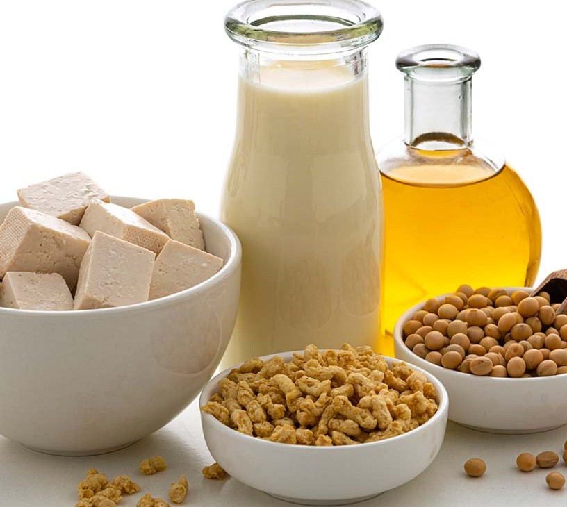 Soy And Milk Protein Ingredients Market Analysis, Size, and Forecast 2026-2030: North America (US, Canada, and Mexico), Europe (Germany, France, and UK), APAC (China, India, and Japan), South America (Brazil and Argentina), Middle East and Africa (Saudi Arabia, UAE, and South Africa), and Rest of World (ROW)