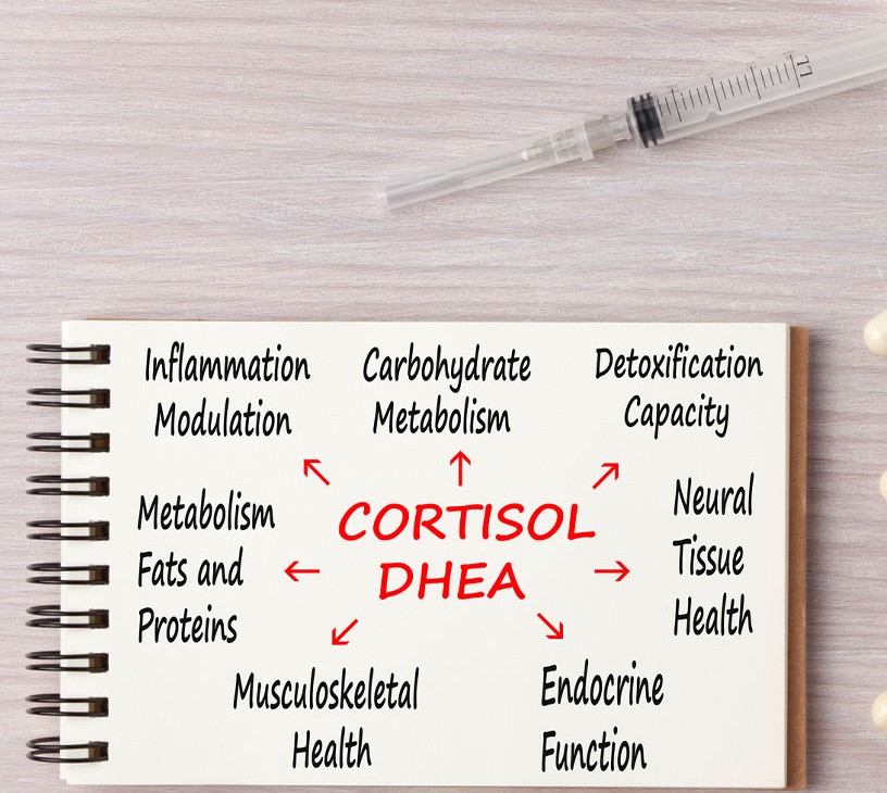 Cushing Syndrome Market Analysis, Size, and Forecast 2026-2030: North America (US, Canada, and Mexico), Europe (Germany, France, and UK), APAC (China, Japan, and India), South America (Brazil, Argentina, and Colombia), Middle East and Africa (Saudi Arabia, UAE, and South Africa), Asia, Rest of World (ROW)