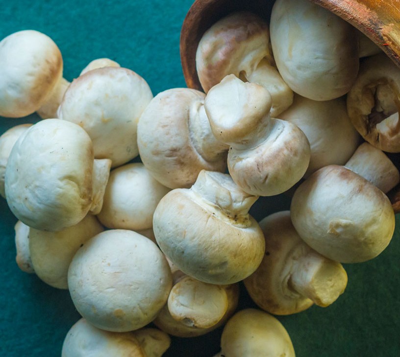 Singapore Fresh Mushroom Market Analysis, Size, and Forecast 2026-2030