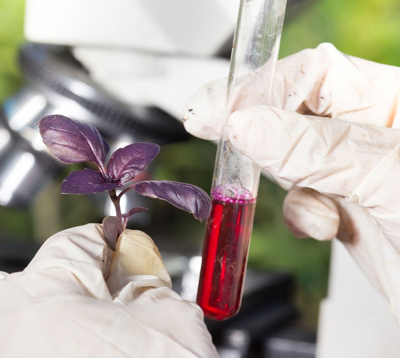 India Agrochemicals Market Analysis, Size, and Forecast 2026-2030