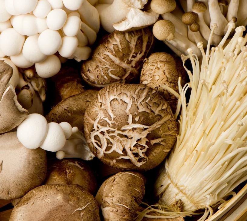 Functional Mushroom Market Analysis, Size, and Forecast 2026-2030: North America (US, Canada, and Mexico), Europe (Germany, UK, and France), APAC (China, Japan, and India), South America (Brazil, Argentina, and Colombia), Middle East and Africa (UAE, Saudi Arabia, and South Africa), and Rest of World (ROW)