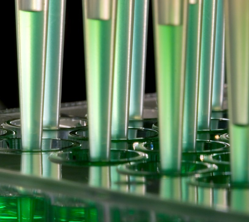 Bio Plasticizer Market Analysis, Size, and Forecast 2026-2030: North America (US, Canada, and Mexico), Europe (Germany, UK, and France), APAC (China, Japan, and India), South America (Brazil and Argentina), Middle East and Africa (Saudi Arabia, UAE, and South Africa), and Rest of World (ROW)