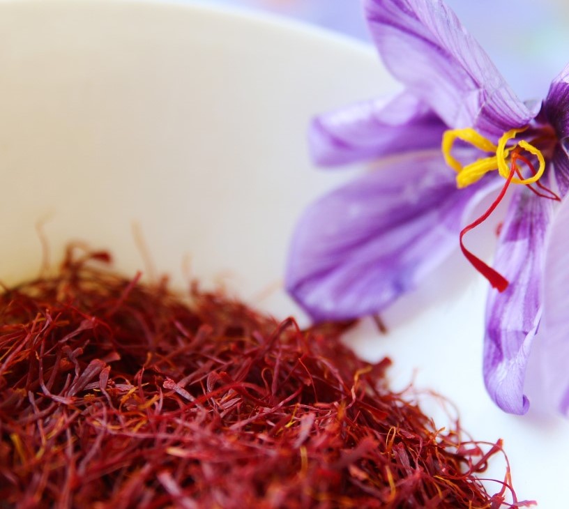 Saffron Extract Market Analysis, Size, and Forecast 2026-2030: APAC (China, India, and Japan), Europe (Germany, France, and The Netherlands), North America (US, Canada, and Mexico), Middle East and Africa (UAE, Saudi Arabia, and South Africa), South America (Brazil, Argentina, and Colombia), and Rest of World (ROW)