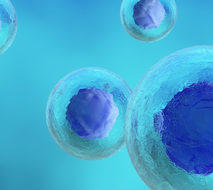 Exosome Therapeutics Market Analysis, Size, and Forecast 2026-2030: North America (US, Canada, and Mexico), Europe (Germany, UK, and France), APAC (China, Japan, and India), South America (Brazil, Argentina, and Colombia), Middle East and Africa (Saudi Arabia, South Africa, and UAE), Asia, Rest of World (ROW)