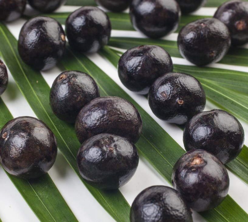 Australia Acai Berry Products Market Analysis, Size, and Forecast 2026-2030