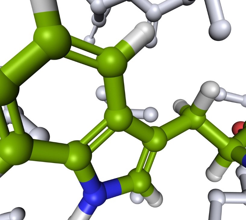 Peptide Synthesis Market Analysis, Size, and Forecast 2026-2030: North America (US, Canada, and Mexico), Europe (Germany, UK, and France), APAC (India, China, and Japan), South America (Brazil and Argentina), Middle East and Africa (South Africa, UAE, and Saudi Arabia), Asia, Rest of World (ROW)