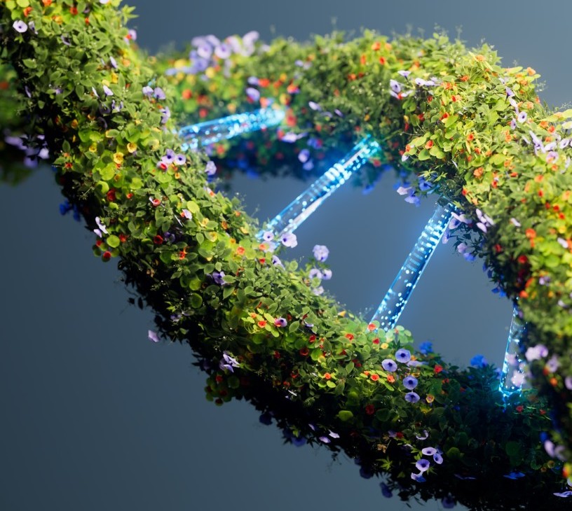 Sustainable AI Market Analysis, Size, and Forecast 2026-2030: North America (US, Canada, and Mexico), Europe (Germany, UK, and France), APAC (China, Japan, and India), South America (Brazil and Argentina), Middle East and Africa (Saudi Arabia, UAE, and South Africa), and Rest of World (ROW)