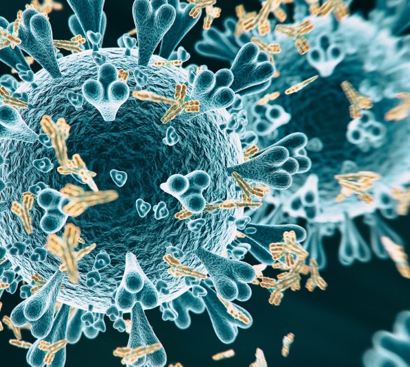 Antigen Market Analysis, Size, and Forecast 2026-2030: North America (US, Canada, and Mexico), Europe (Germany, UK, and France), APAC (China, India, and Japan), South America (Brazil, Argentina, and Colombia), Middle East and Africa (Saudi Arabia, UAE, and Turkey), Asia, Rest of World (ROW)