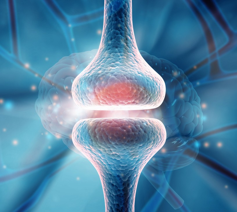 AI In Life Science Analytics Market Analysis, Size, and Forecast 2025-2029: North America (US, Canada, and Mexico), Europe (Germany, UK, and France), APAC (China, Japan, and India), South America (Brazil, Argentina, and Colombia), Middle East and Africa (Saudi Arabia, UAE, and South Africa), and Rest of World (ROW)