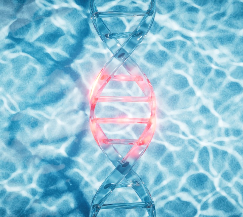 Wound Care Biologic Market Analysis, Size, and Forecast 2025-2029: North America (US, Canada, and Mexico), Europe (Germany, UK, and France), APAC (China, Japan, and India), South America (Brazil), Middle East and Africa (Saudi Arabia, UAE, and South Africa), Asia, Rest of World (ROW)