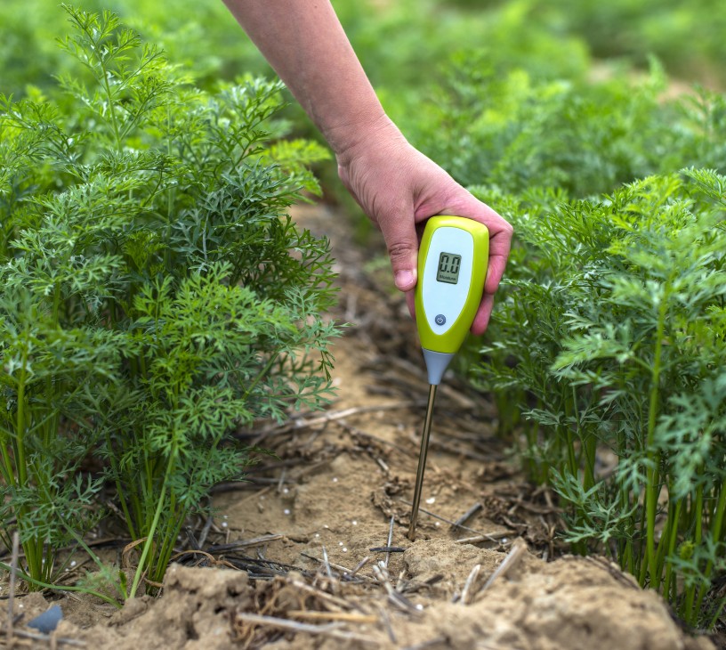 Soil Moisture Sensor Market Analysis, Size, and Forecast 2025-2029: North America (US, Canada, and Mexico), APAC (China, India, and Japan), Europe (Germany, France, and UK), Middle East and Africa (South Africa, Saudi Arabia, and UAE), South America (Brazil, Argentina, and Colombia), and Rest of World (ROW)