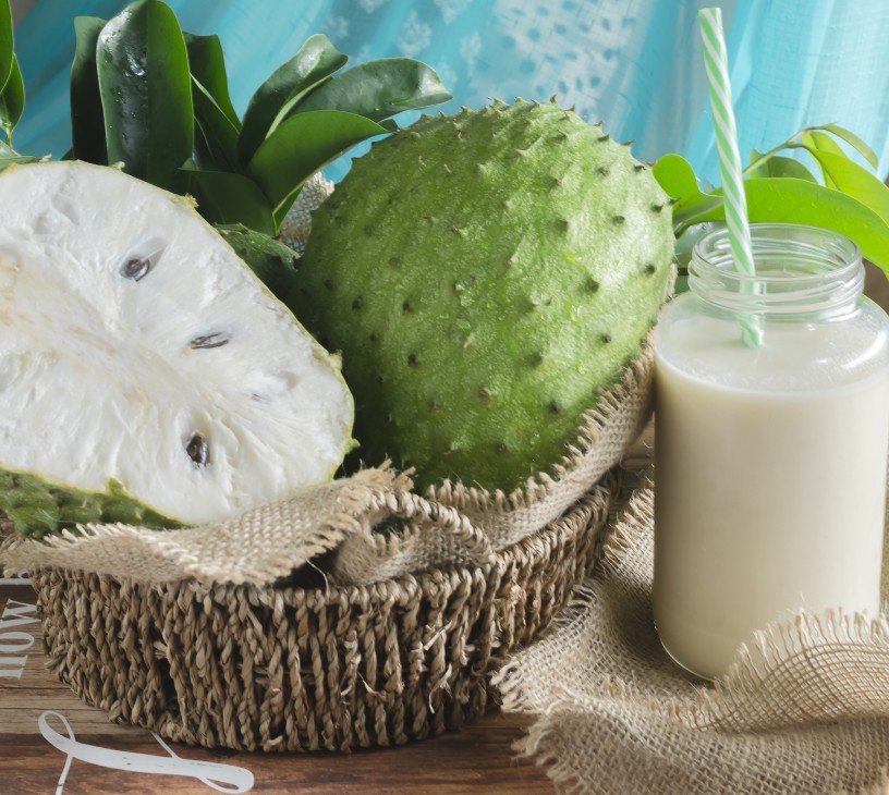 Guanabana Market Analysis, Size, and Forecast 2025-2029: South America (Brazil, Colombia, and Argentina), APAC (China, Japan, and India), North America (US, Canada, and Mexico), Europe (UK, Germany, and France), Middle East and Africa (Saudi Arabia, UAE, and South Africa), and Rest of World (ROW)