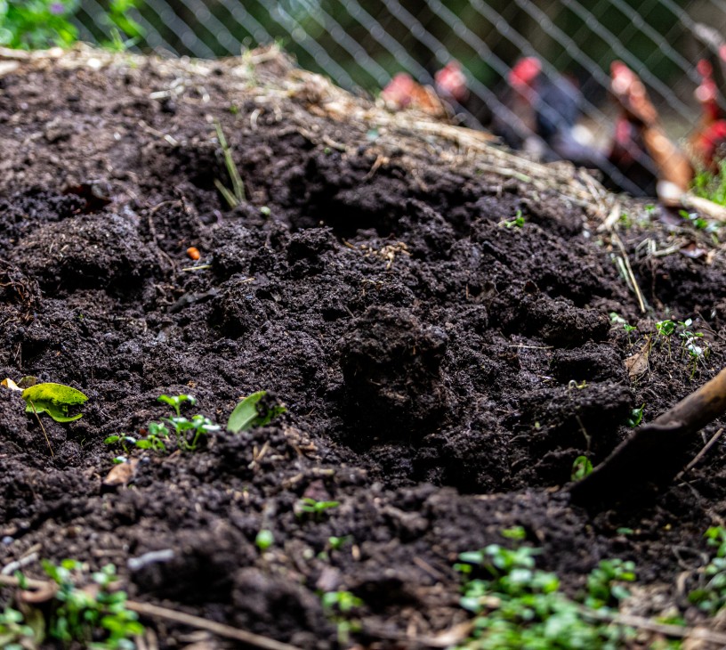 Feed Phosphate Market Analysis, Size, and Forecast 2026-2030: APAC (China, India, and Japan), North America (US, Canada, and Mexico), Europe (Germany, UK, and France), Middle East and Africa (Saudi Arabia, UAE, and South Africa), South America (Brazil, Argentina, and Colombia), and Rest of World (ROW)