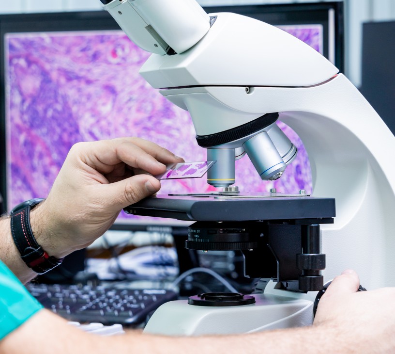 Flow Imaging Microscopy Analysis Market Analysis, Size, and Forecast 2026-2030: North America (US, Canada, and Mexico), Europe (Germany, UK, and France), APAC (China, Japan, and India), South America (Brazil), Middle East and Africa (South Africa, UAE, and Saudi Arabia), Asia, Rest of World (ROW)