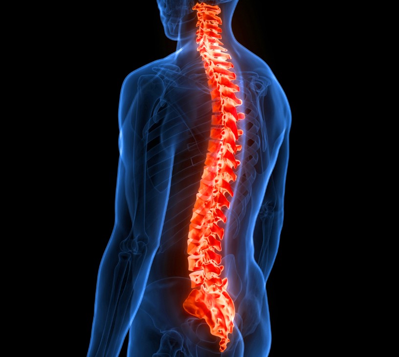 Digital Health For Musculoskeletal Care Market Analysis, Size, and Forecast 2026-2030: North America (US, Canada, and Mexico), Europe (Germany, UK, and France), APAC (China, Japan, and India), South America (Brazil), Middle East and Africa (South Africa, Saudi Arabia, and UAE), Asia, Rest of World (ROW)