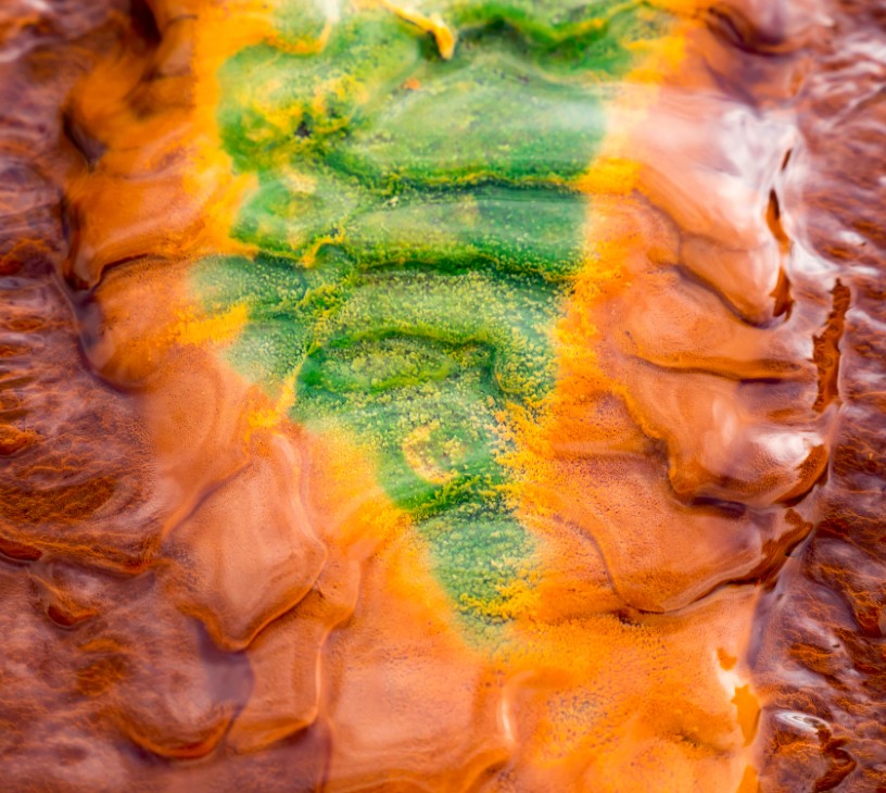 Tie Layer Resin Market Analysis, Size, and Forecast 2026-2030: APAC (China, Japan, and India), North America (US, Canada, and Mexico), Europe (Germany, France, and UK), Middle East and Africa (Saudi Arabia, UAE, and South Africa), South America (Brazil, Argentina, and Colombia), and Rest of World (ROW)