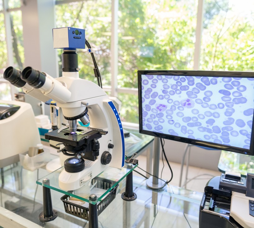 Clinical Trial Decentralization Platforms Market Analysis, Size, and Forecast 2026-2030: North America (US, Canada, and Mexico), Europe (Germany, UK, and France), APAC (China, India, and Japan), South America (Brazil, Argentina, and Colombia), Middle East and Africa (South Africa, Israel, and Saudi Arabia), and Rest of World (ROW)