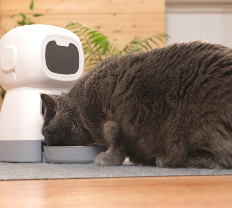 Pet Tech And Wellness Products Market Analysis, Size, and Forecast 2026-2030: North America (US, Canada, and Mexico), Europe (UK, Germany, and France), APAC (China, Japan, and India), South America (Brazil, Argentina, and Colombia), Middle East and Africa (Saudi Arabia, South Africa, and UAE), and Rest of World (ROW)