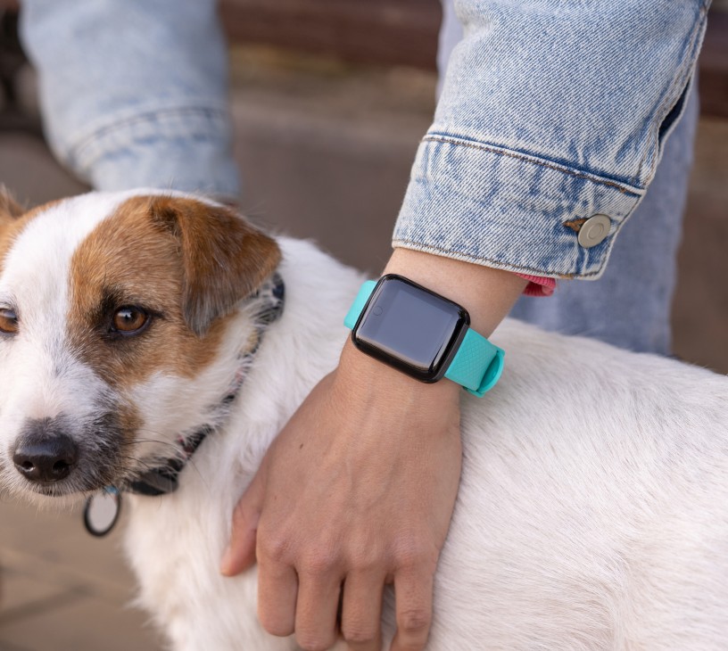 AI Pet Health Wearables Market Analysis, Size, and Forecast 2026-2030: North America (US, Canada, and Mexico), Europe (Germany, UK, and France), APAC (China, Japan, and India), South America (Brazil, Argentina, and Colombia), Middle East and Africa (Israel, South Africa, and Saudi Arabia), and Rest of World (ROW)