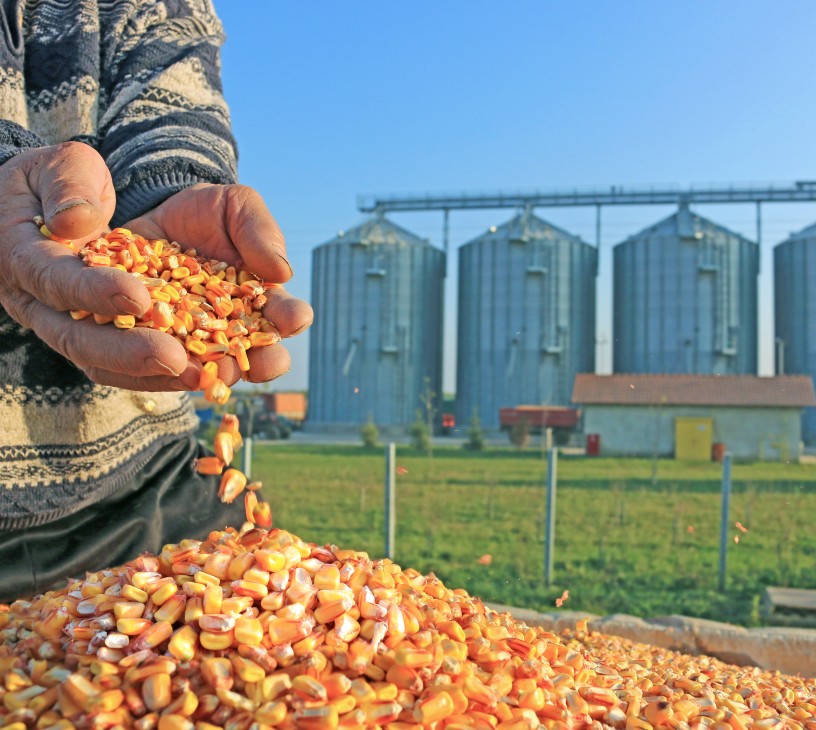 Grain Processing Equipment Market Analysis, Size, and Forecast 2026-2030: APAC (China, India, and Japan), North America (US, Canada, and Mexico), Europe (Germany, France, and UK), South America (Brazil, Argentina, and Colombia), Middle East and Africa (South Africa, Turkey, and Saudi Arabia), and Rest of World (ROW)