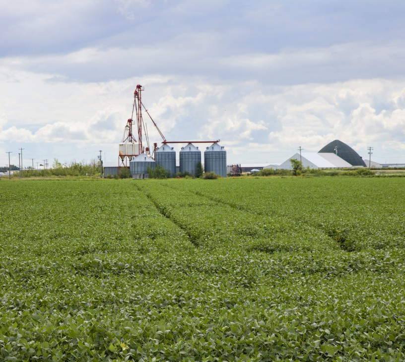 Grain Handling Market Analysis, Size, and Forecast 2026-2030: APAC (China, India, and Japan), North America (US, Canada, and Mexico), Europe (Germany, France, and UK), South America (Brazil, Argentina, and Colombia), Middle East and Africa (South Africa, Turkey, and Saudi Arabia), and Rest of World (ROW)