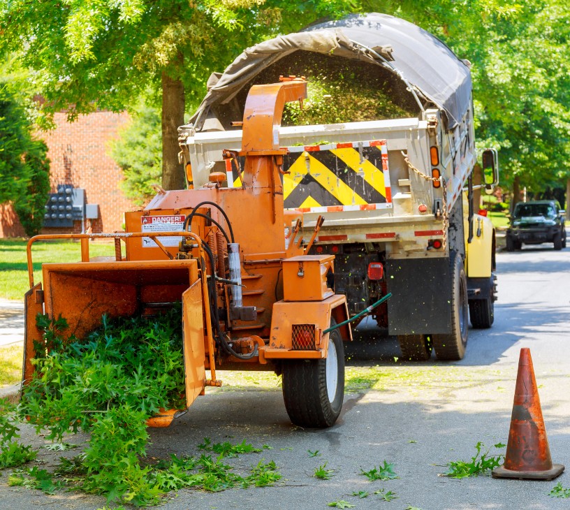 Utility Vegetation Management Market Analysis, Size, and Forecast 2026-2030: North America (US, Canada, and Mexico), Europe (Germany, UK, and France), APAC (China, India, and Japan), South America (Brazil, Argentina, and Colombia), Middle East and Africa (Saudi Arabia, UAE, and South Africa), and Rest of World (ROW)