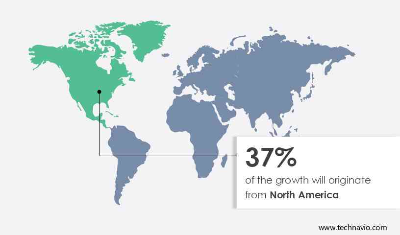 Carbon Tetrachloride Market Share by Geography