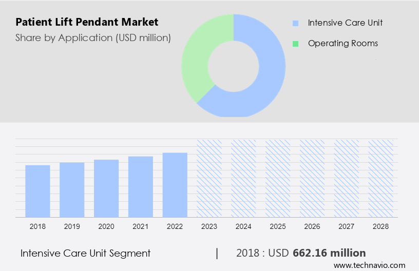Patient Lift Pendant Market Size