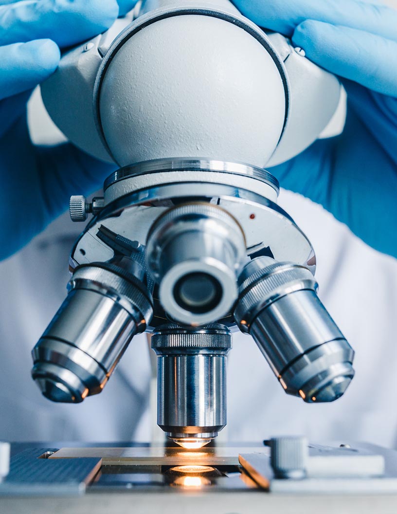 Global drug discovery informatics market 2024-2028