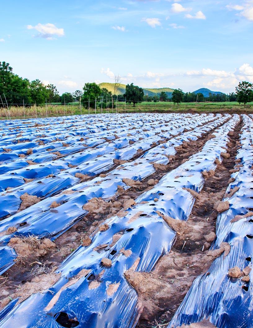 Global Agricultural Films Market 2025-2029