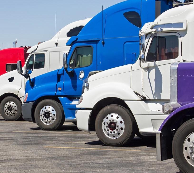 Global Fleet Telematics Systems Market 2025-2029