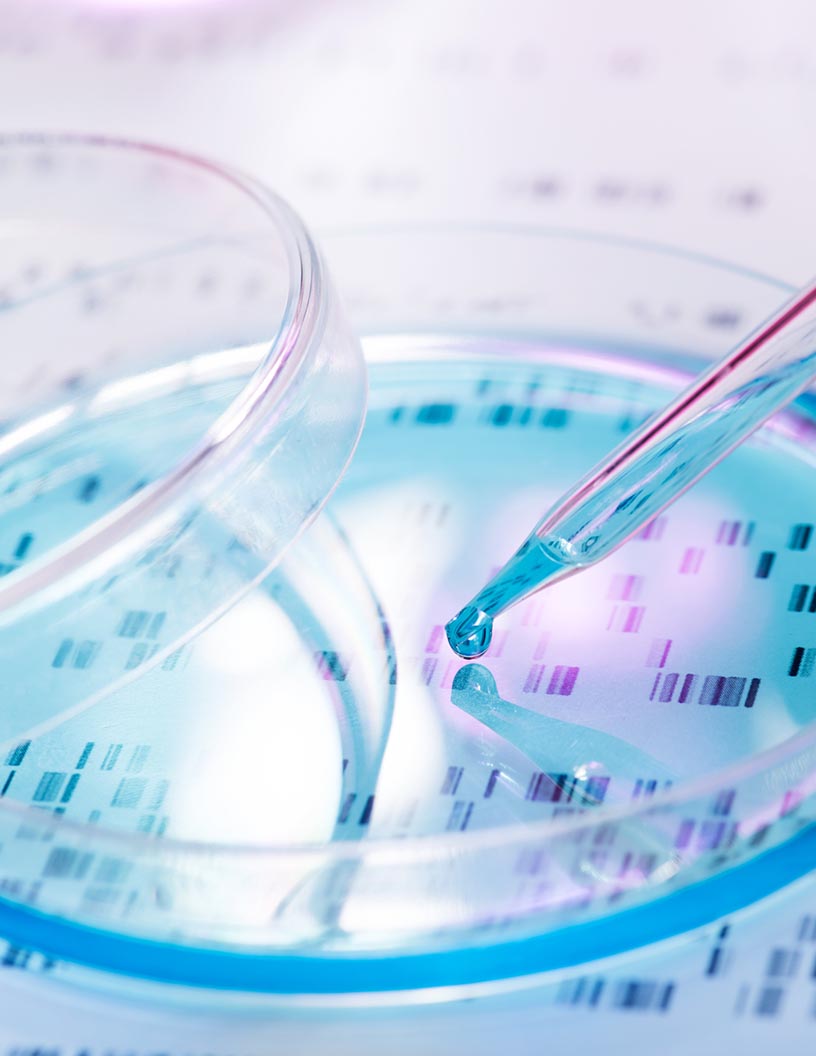 Global hematopoietic stem cells transplantation (HSCT) market 2024-2028