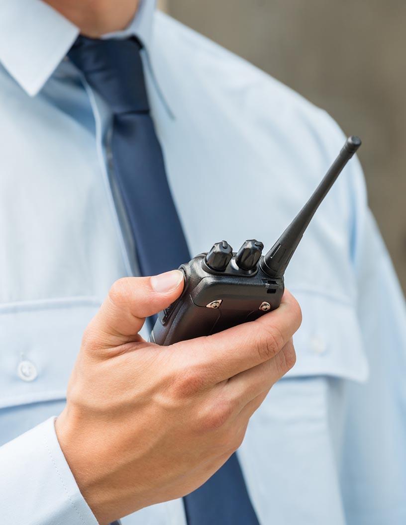 Global Security Services Market 2025-2029