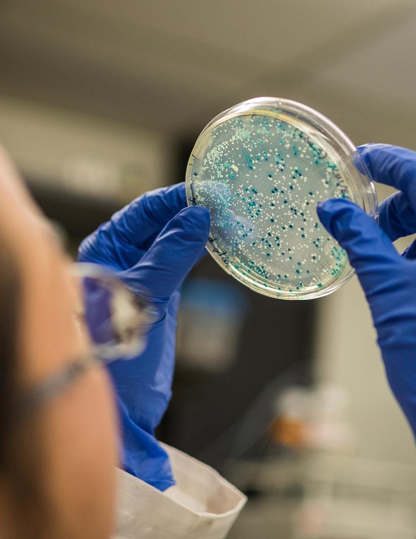 Global Human Microbiome Therapeutics Market 2025-2029