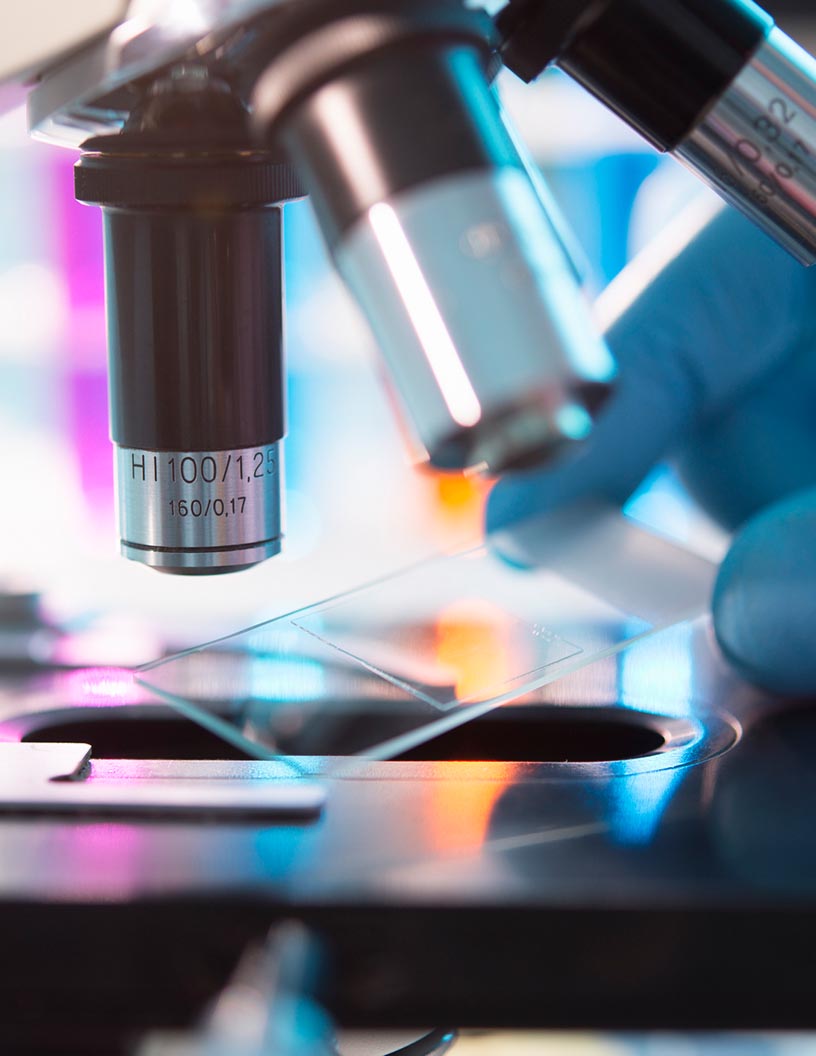 Global 3D optical microscope market 2024-2028