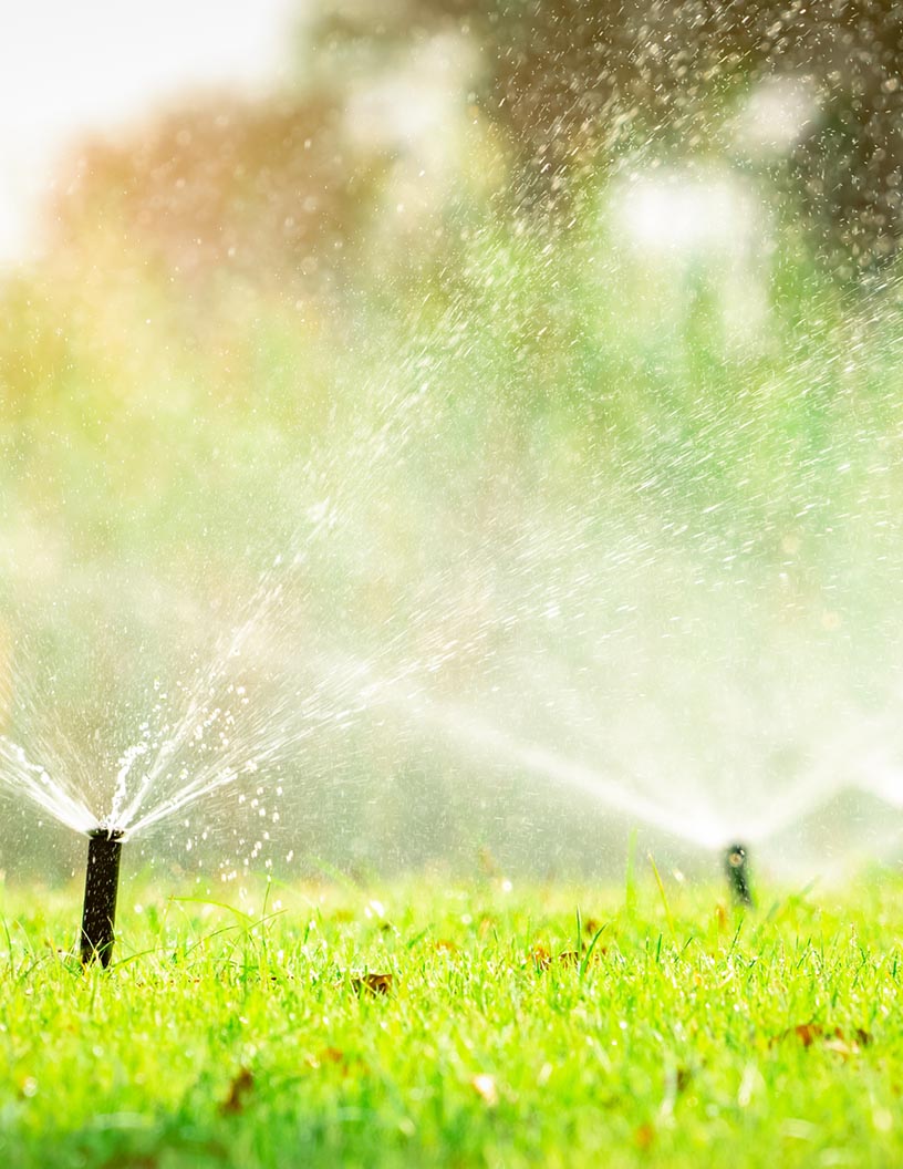 Global Automatic irrigation equipment market 2024-2028