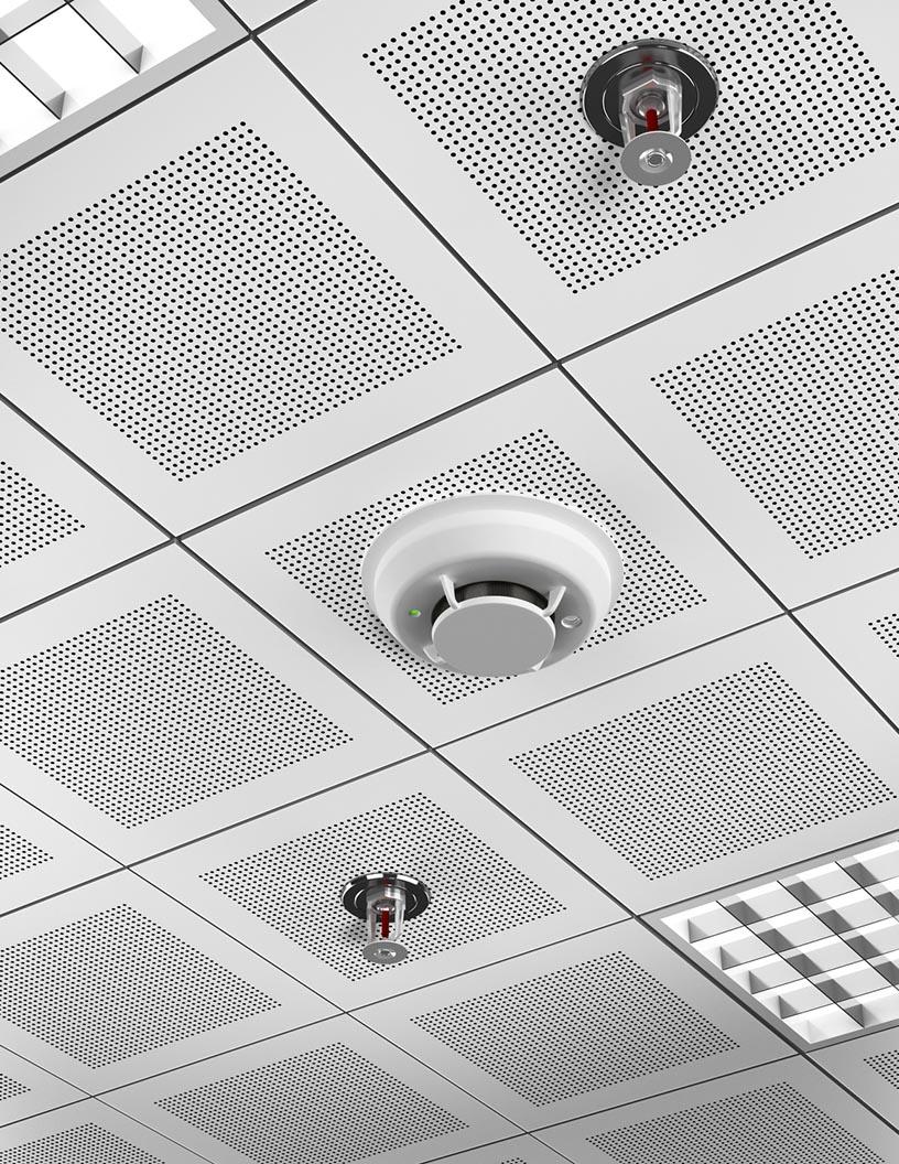 Global Fire Sprinkler Systems Market 2025-2029