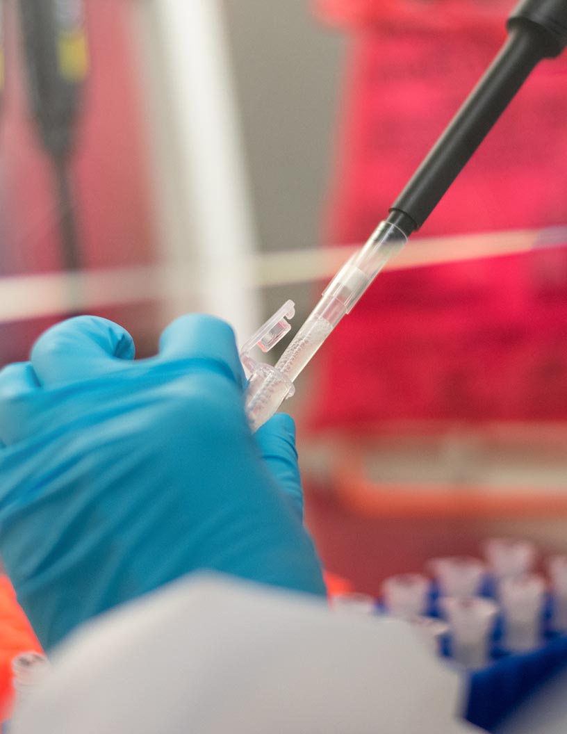 Global immunodiagnostics market 2024-2028