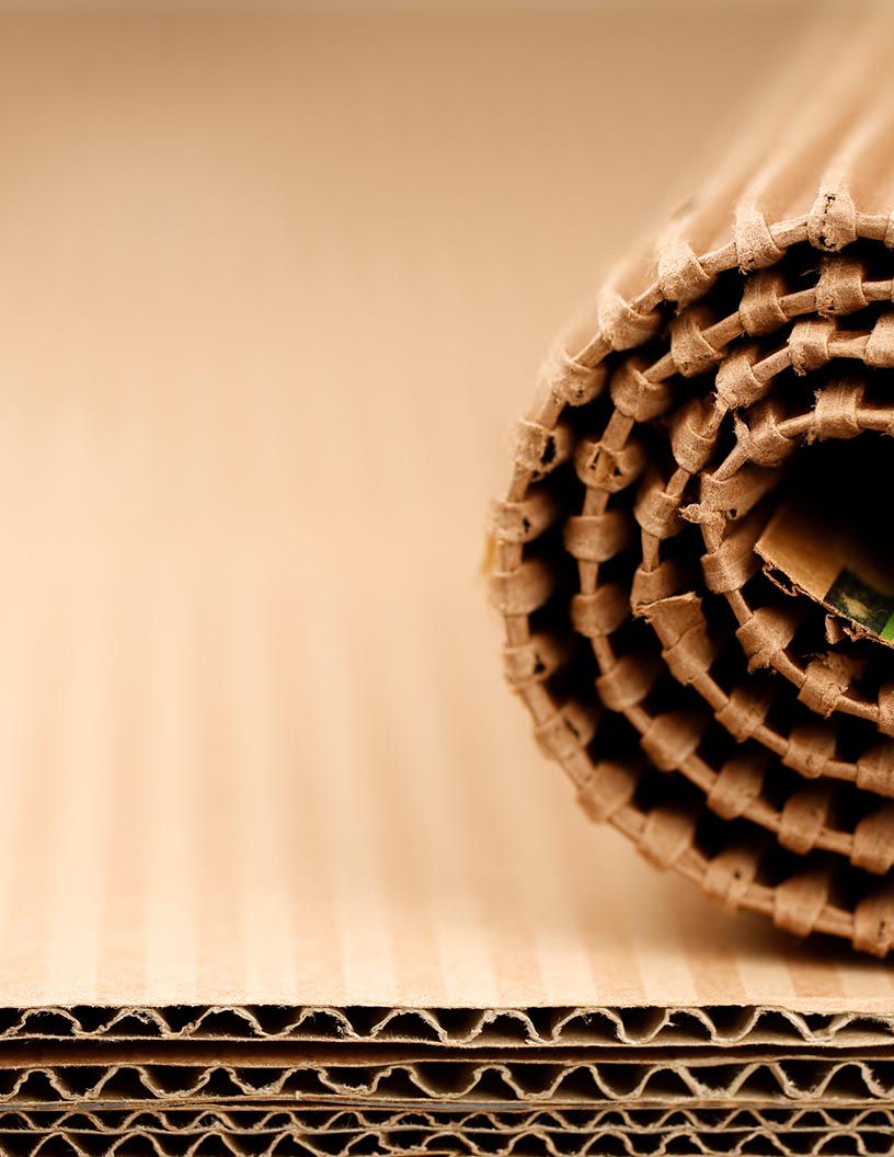 Global printed carton market 2024-2028