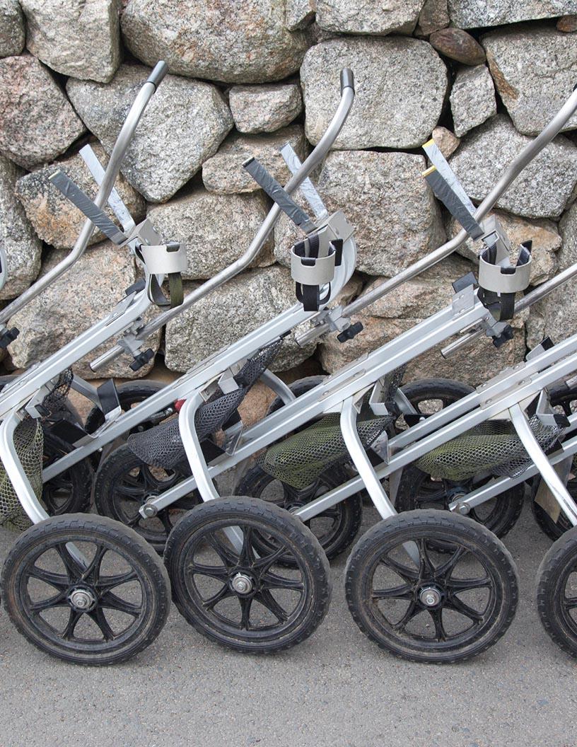 Global Golf Push And Pull Cart Market 2025-2029